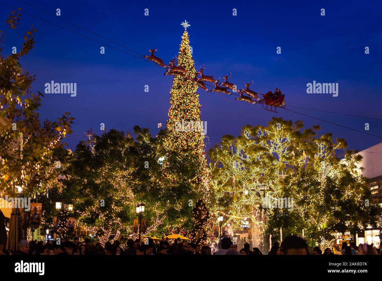 Slitta di Babbo Natale nel Grove durante il periodo natalizio, California Foto Stock