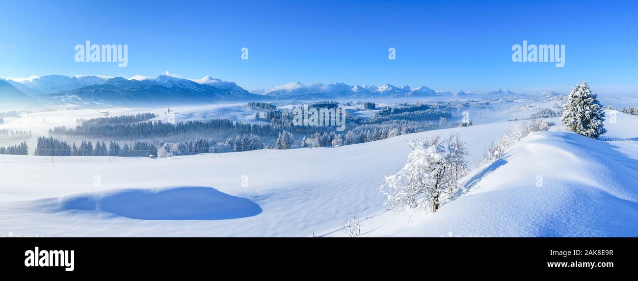 Bella mattinata invernale con un sacco di neve fresca al confine delle Alpi vicino Trauchgau Foto Stock