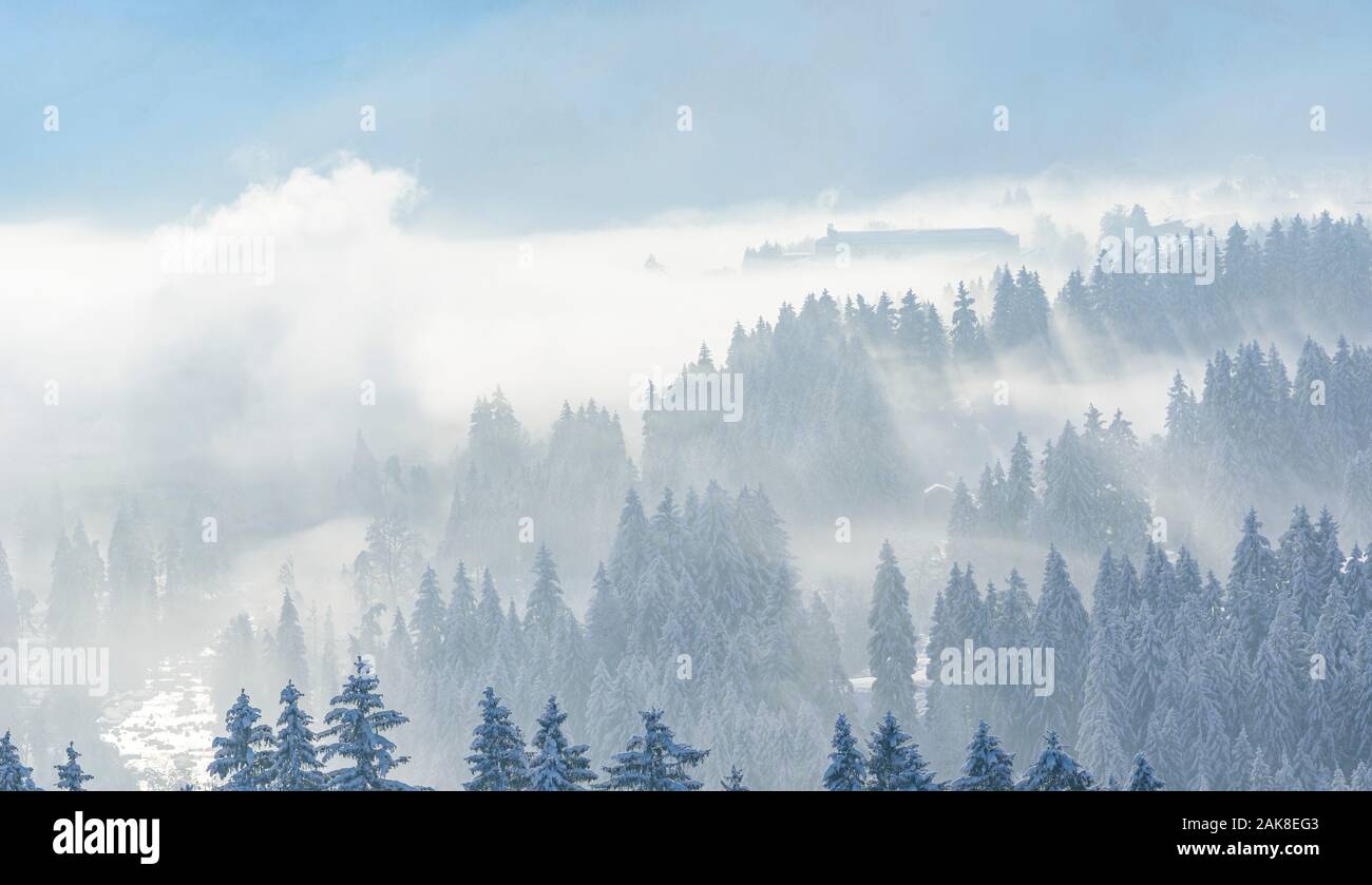 Bella mattinata invernale con un sacco di neve fresca al confine delle Alpi vicino Trauchgau Foto Stock