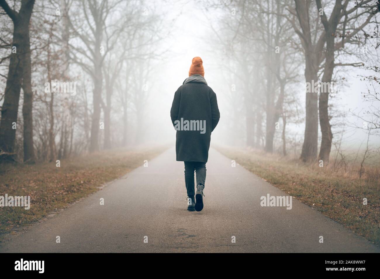 Vista posteriore di una donna che cammina nella distanza su una strada di nebbia Foto Stock