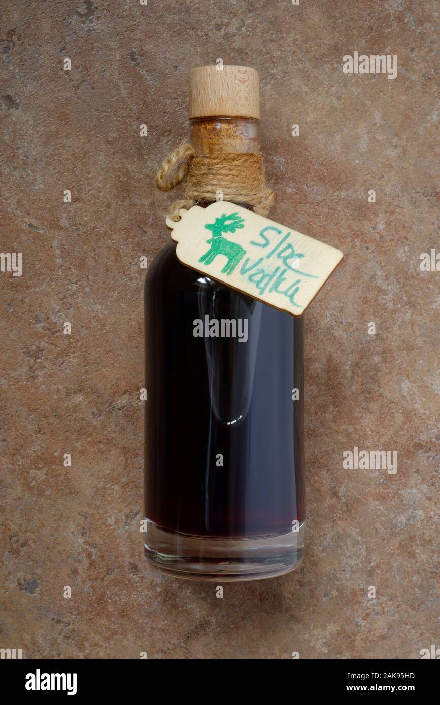 In casa di sloe vodka in un piccolo sughero sormontato bottiglia. Foto Stock