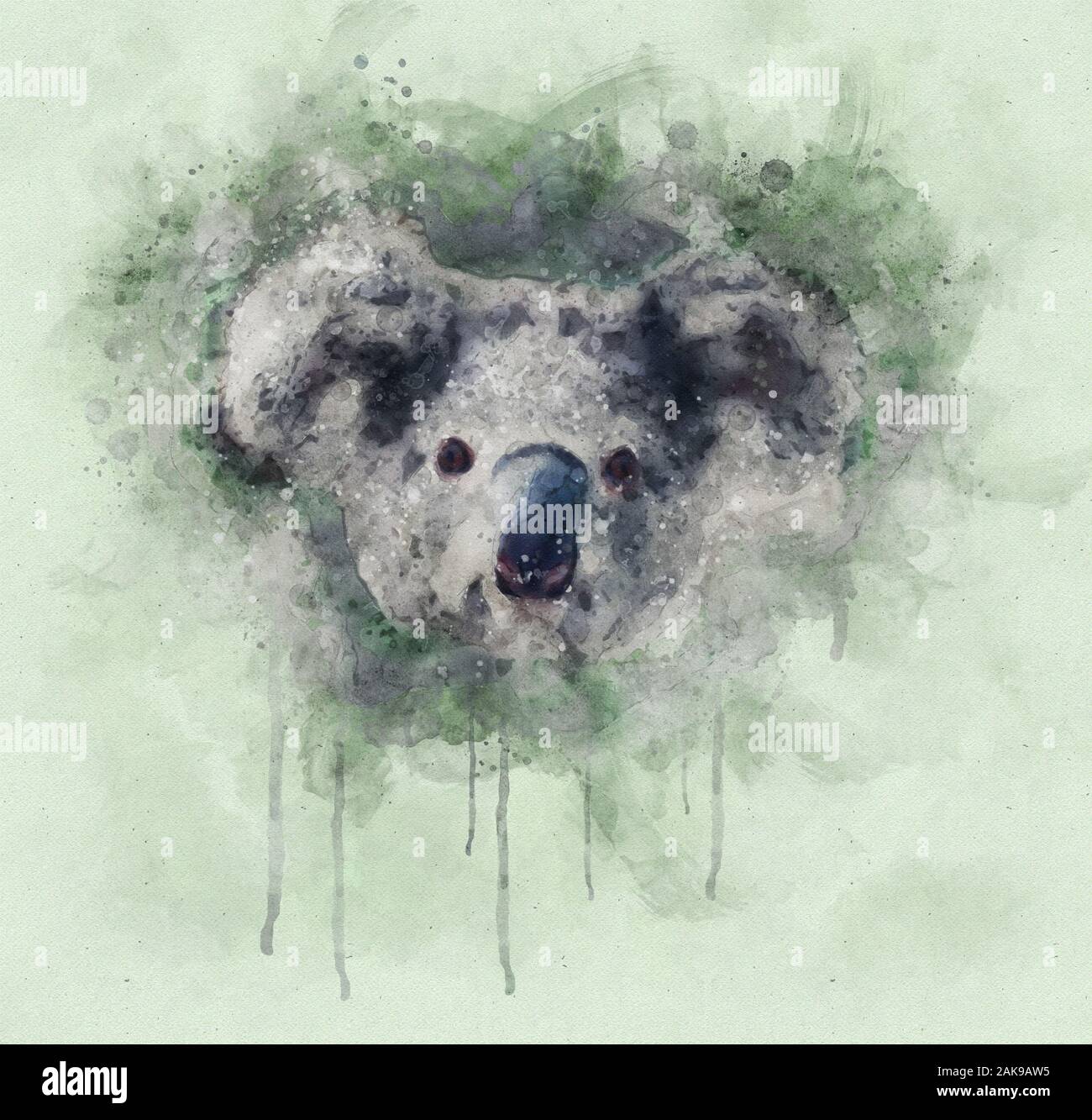 Acquerello illusration dei Koala, Ritratto Foto Stock