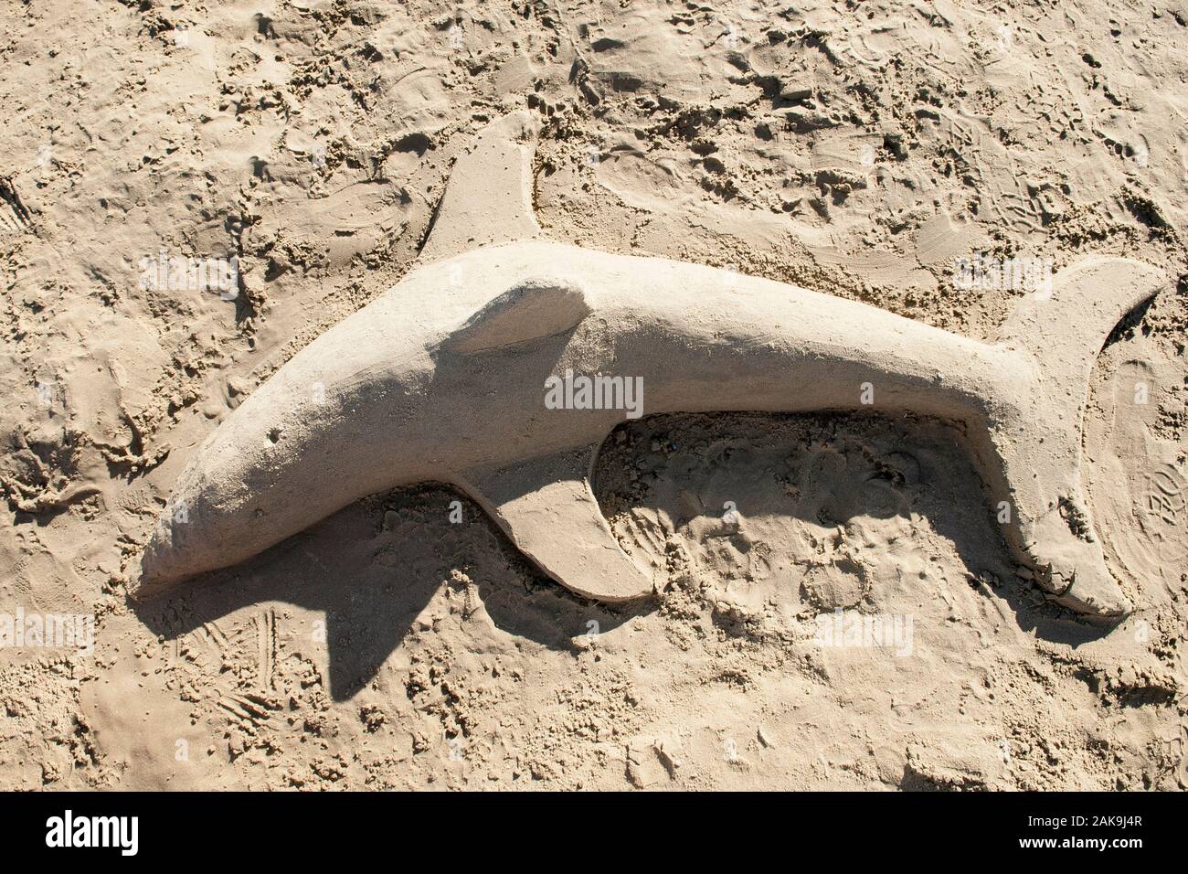 Sabbia scultura delfino sulla spiaggia. Foto Stock