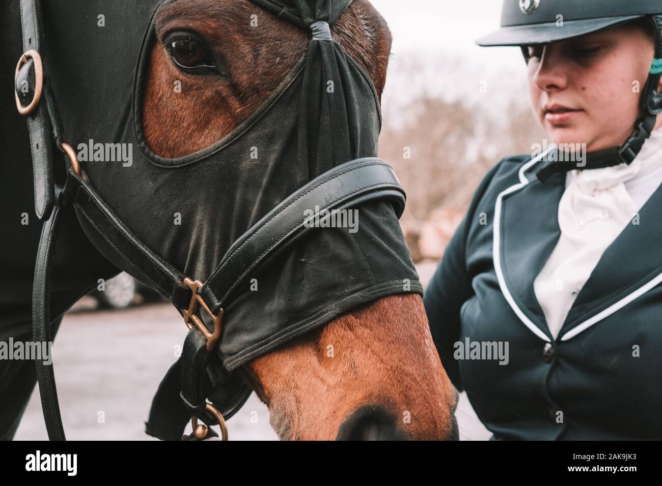 Closeup di Cavallo e cavaliere a dressage evento in Inghilterra rurale Foto Stock