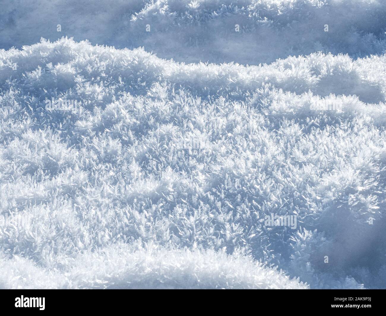 Texture di neve. Sfondo bianco di neve. Foto Stock