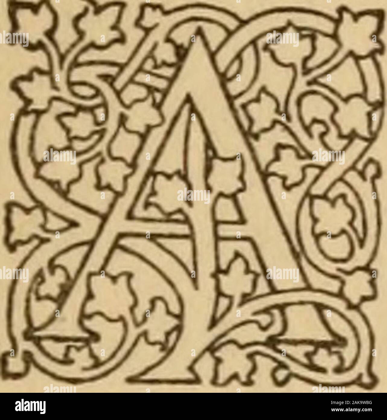 Un giardino rosario . Il6 un giardino ROSARIO 3 Ottobre 0 guardare il quotidiano dissolutionof un corpo umano è quello di leggere le lettere inunforgettable il historyof tutti la vita fisica. Non c è solo la dif-ference di gradi tra la morte come itsteals su un telaio mortale e la morte come itwithers un fiore sul suo stelo. Ma no. Theflowers morire in modo indolore. Per noi, lo strappo-ing verso il basso dei nostri tessuti e la wastingaway della nostra carne è pieno di agonia. Surelythe cosa insondabile che ci rende dif-ferent degli animali e i flowersand tutte le altre creazioni della natura deve beresponsible per questa differenza. Come abbiamo elsecan account Foto Stock