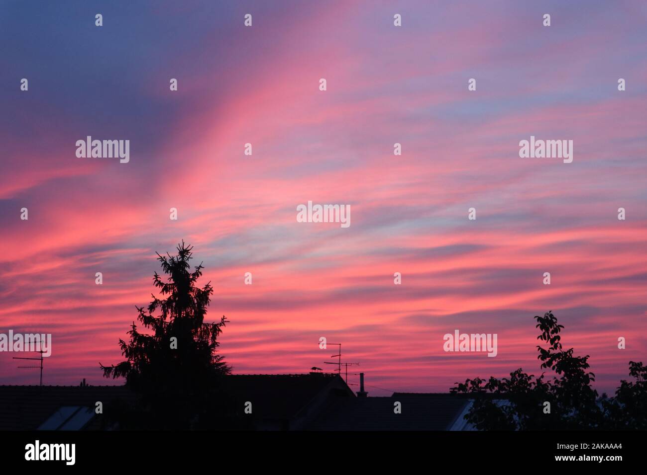 bellissimo cielo rosa fuoco sopra il villaggio Foto Stock