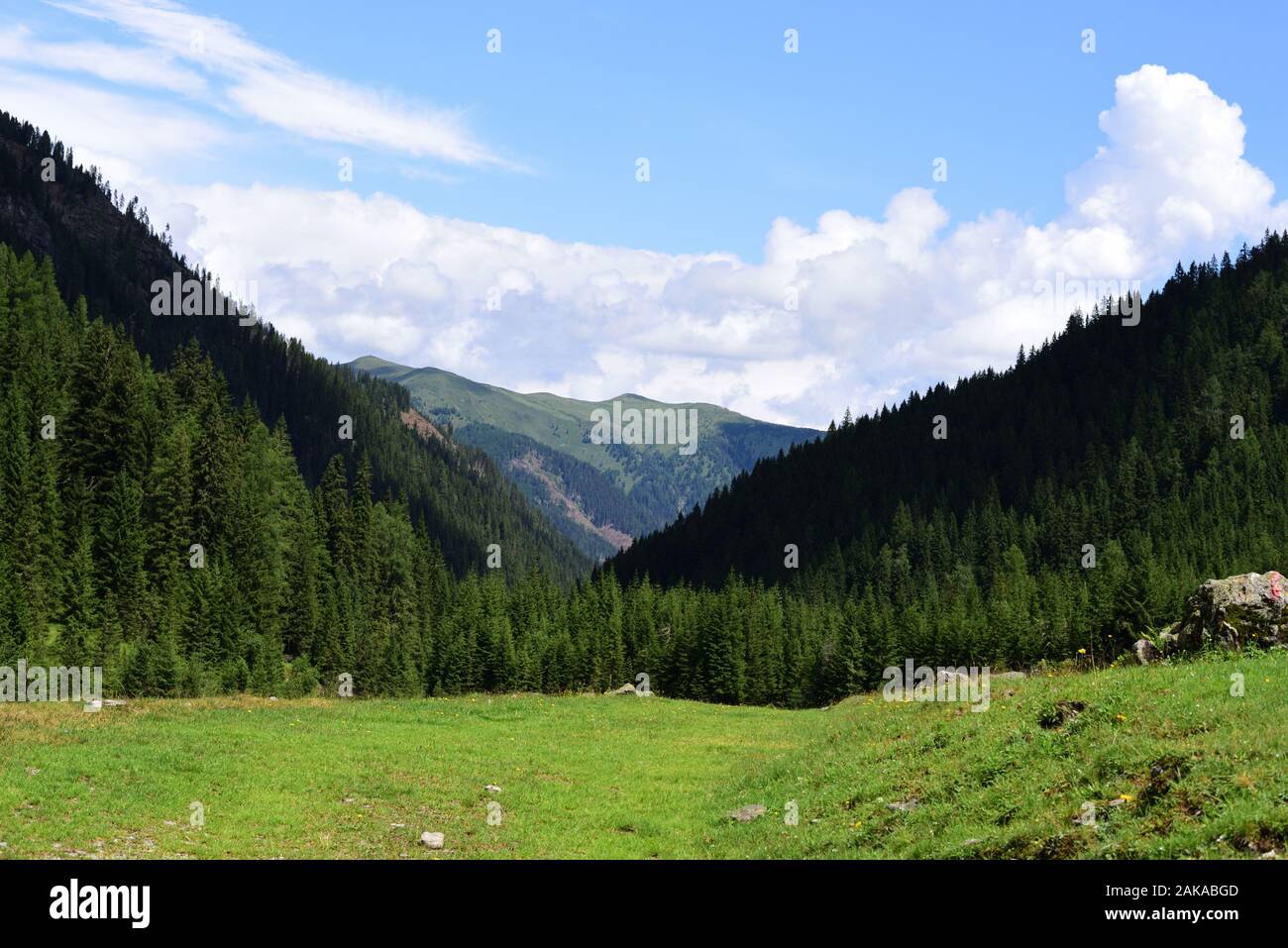 Valle Verde dell'Austria al confine con l'Italia Foto Stock