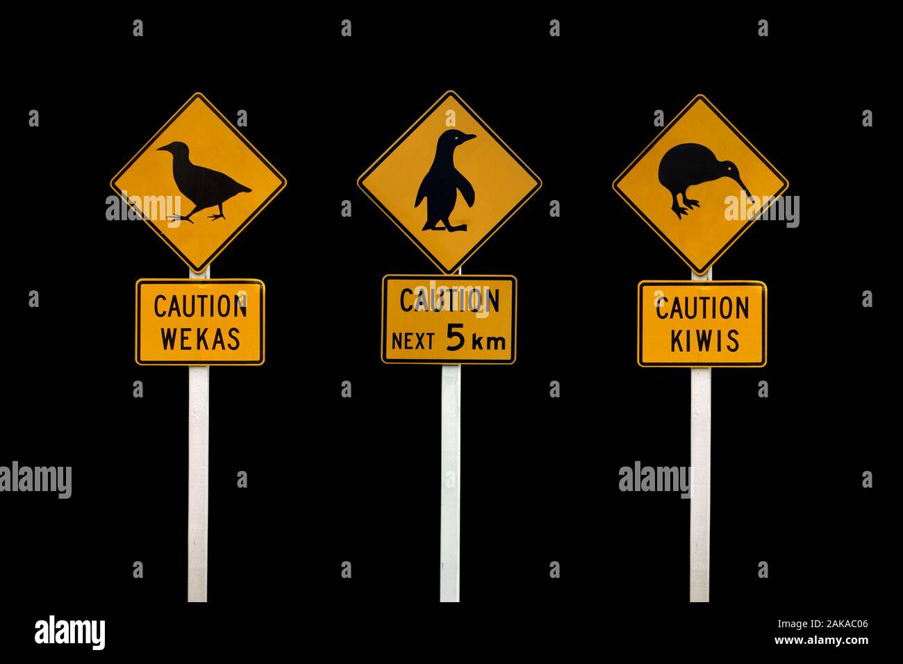 Nuova Zelanda indicazioni stradali su sfondo nero. Attenzione kiwi, wekas Attenzione, cautela pinguini Foto Stock