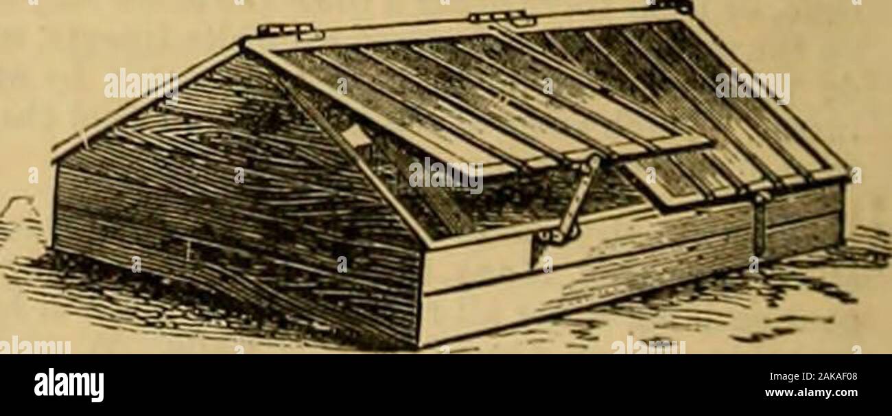 I giardinieri' cronaca : un settimanale illustrato ufficiale di orticoltura e materie affini . Sarà MOW sconfinano legato aiuole, &0. Molto facile lavorare.I prezzi e le indicazioni dell'applicazione. Rulli del giardino di tutte le dimensioni. ALEX. SHANKS & FIGLIO, tane Ferriera, Arbroatb,e 110, Cannon Street, Londra. C.e. Un grande magazzino di tutte le dimensioni) di macchine sempre mantenuto inLondon, dove le riparazioni vengono eseguite anche da experiencedworkmen. Indirizzo di Londra per le riparazioni :-44, Stenditoio Street East. Campi Goodmans. E. Salva il tuo fuoco e mantenere una temperatura fissa sotto vetro da usingFRIGI DOMO, fatta di capelli preparati andwool: un Foto Stock