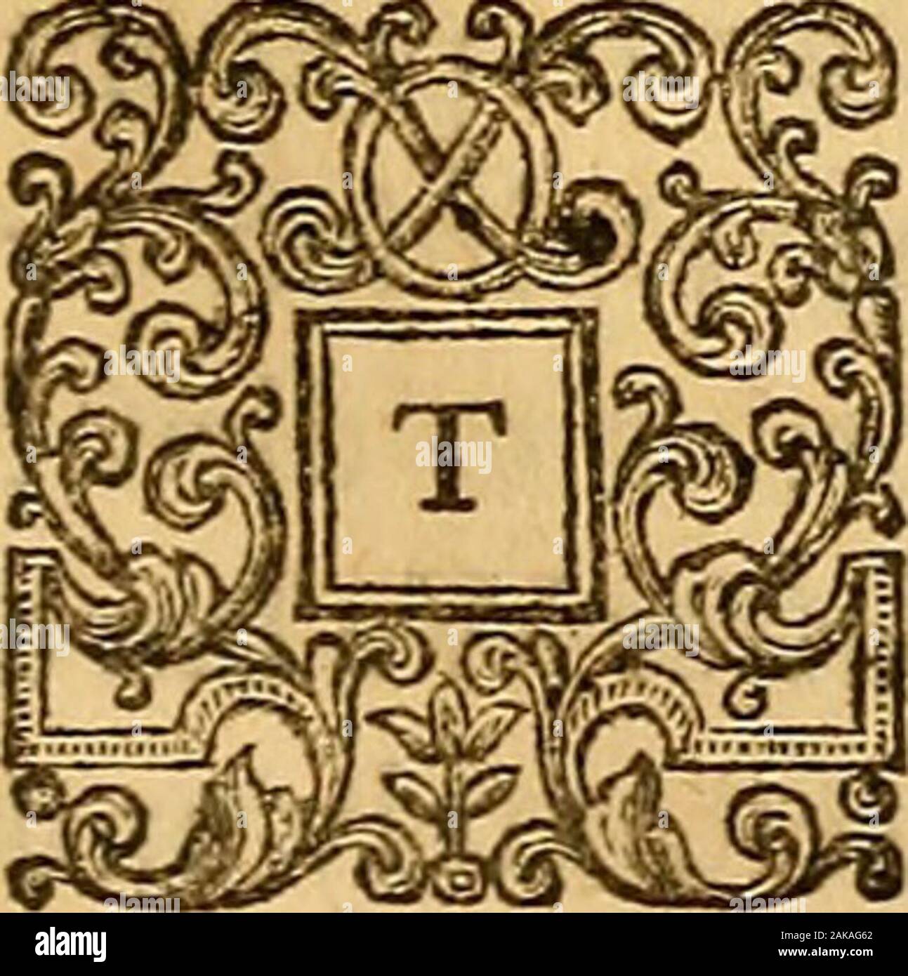 Sermoni sui diversi temi importanti della religione e della moralità : ai quali si sono aggiunti due tratti ... . Sermone IV. La Diligenza richiesta nel nostro chujing Reli gious-Principi e il Steddinefs inretaining loro quando fb duottn^ Jlatedand chiaro d. 1Tess. v. 21. Frove tutte le cose : Holdfaji che whichis buona, H e il testo contiene due molto dure e importanti precetti,che hanno una relazione vicino toeach altri; e che maywell deferve entrambi di essere rightlyimderftood e retaind con cautela da parte di tutti. Il firft è, provare, provare, o esaminare allThings (propofed come di qualsiasi Confequence a ourBelief e Pradice) che Foto Stock