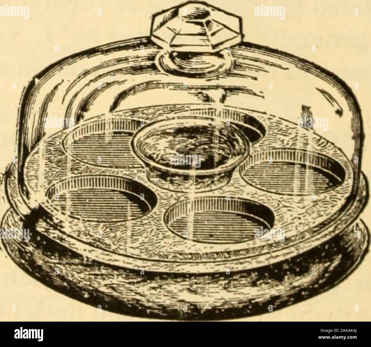 La American orologiaio e gioielliere; una enciclopedia per la horologist gioielliere orafo-argentiero .. . Fig. 213. Fig. 2U. Il coperchio di circolazione. Un paralume in vetro per proteggere un movimento, orportions di un movimento dalla polvere e da essere perso mentre undergoingrepairs. Fig. 214 illustra un coperchio migliorato, con base in legno 347 titolare di movimento. •Diviso in scomparti per la ricezione delle varie parti in modo theymay essere tenuti separati e prontamente prelevati l. Titolare di movimento. Un telaio di metallo, come mostrato in Fig. 215,avente tre bracci regolabili per contenere il movimento di serraggio sulla piastra. È u Foto Stock