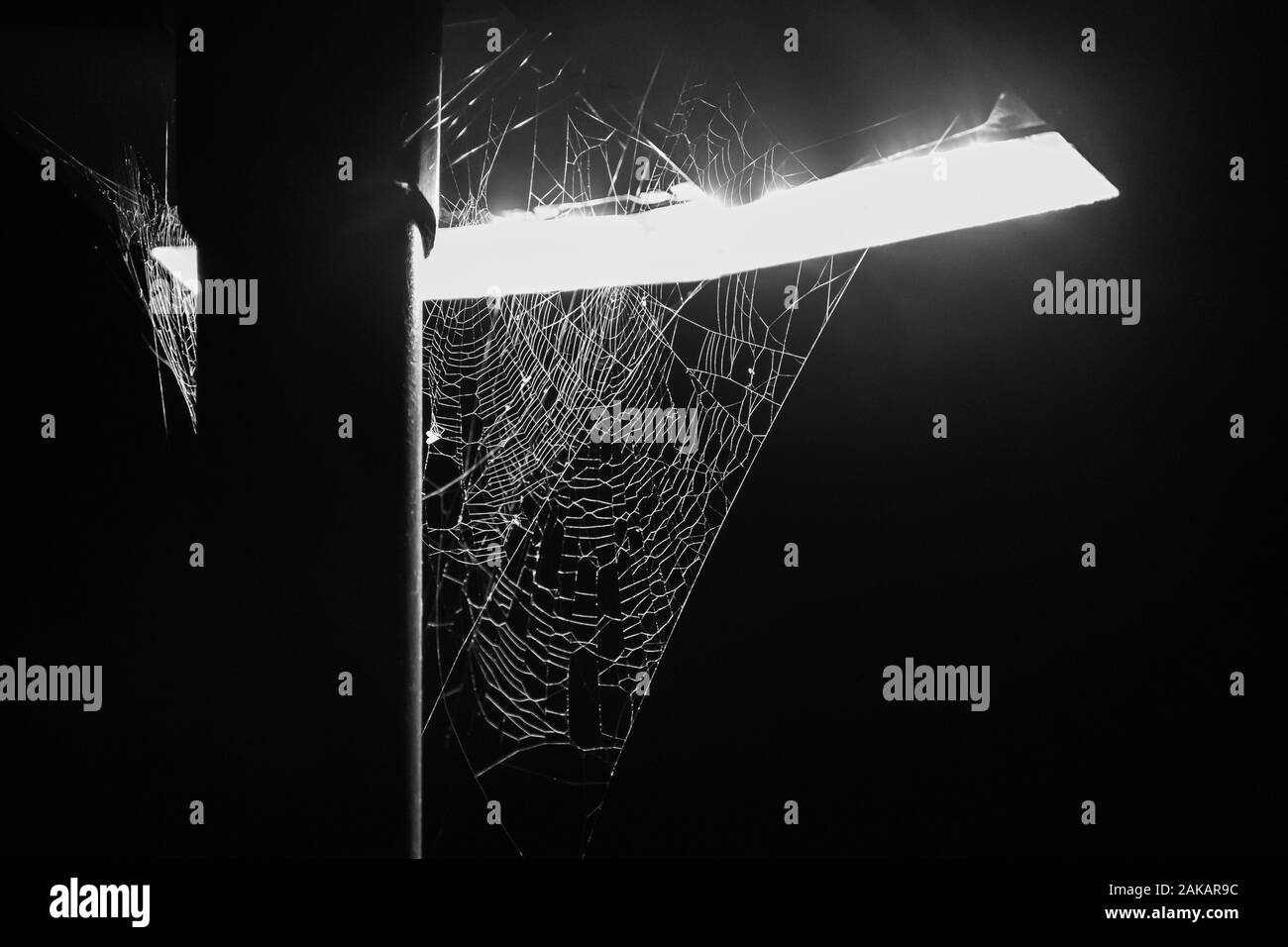 Fotografia in bianco e nero di due ragnatele alta fino in Strada luce LED con sfondo nero. Foto Stock