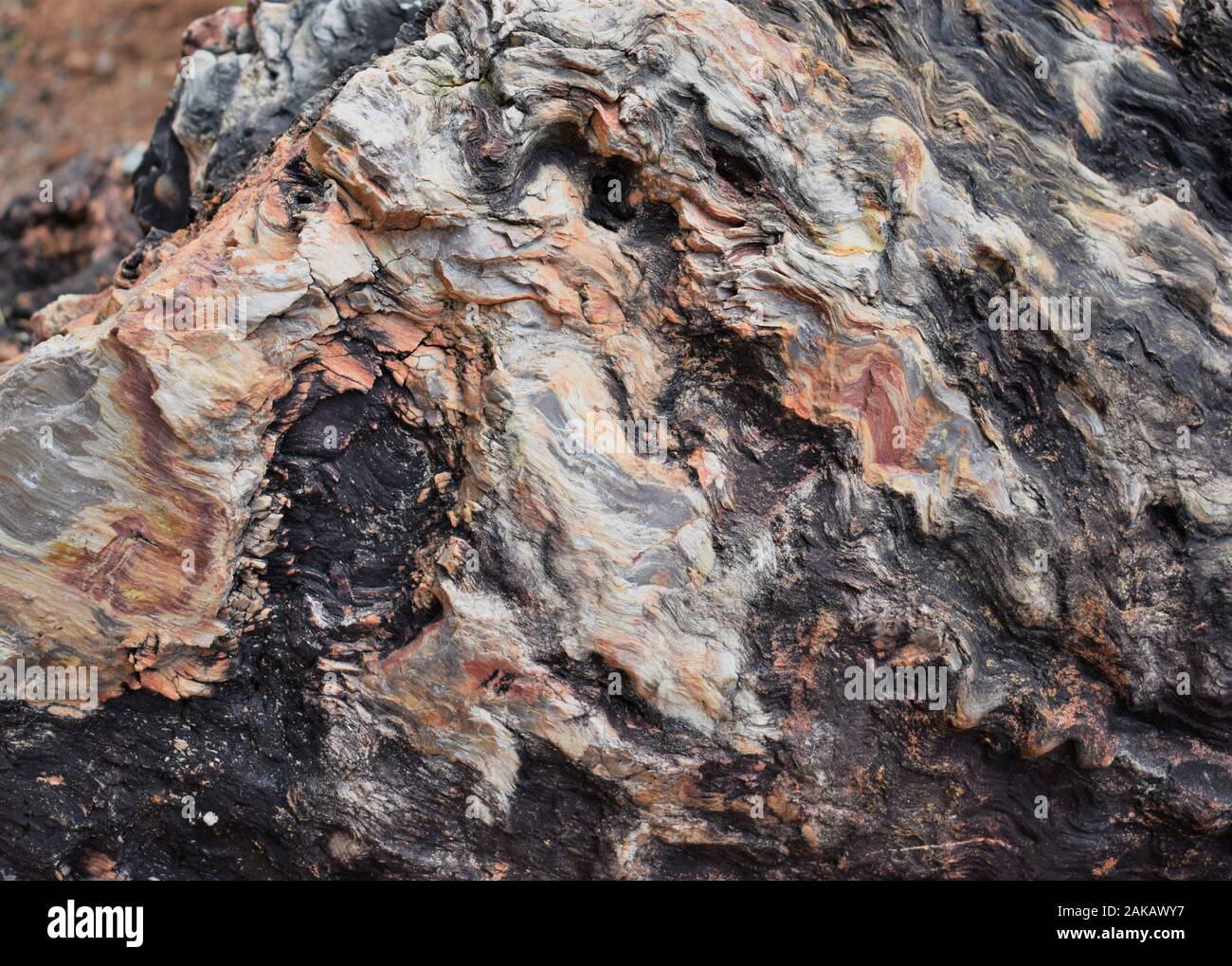 Legno pietrificato, del tronco di un albero trasformato in pietra come combustibili che mostra i vari strati sedimentari Foto Stock