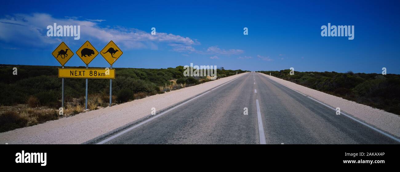 Animal Crossing segni sul bordo della strada, Eyre Highway, Australia Foto Stock