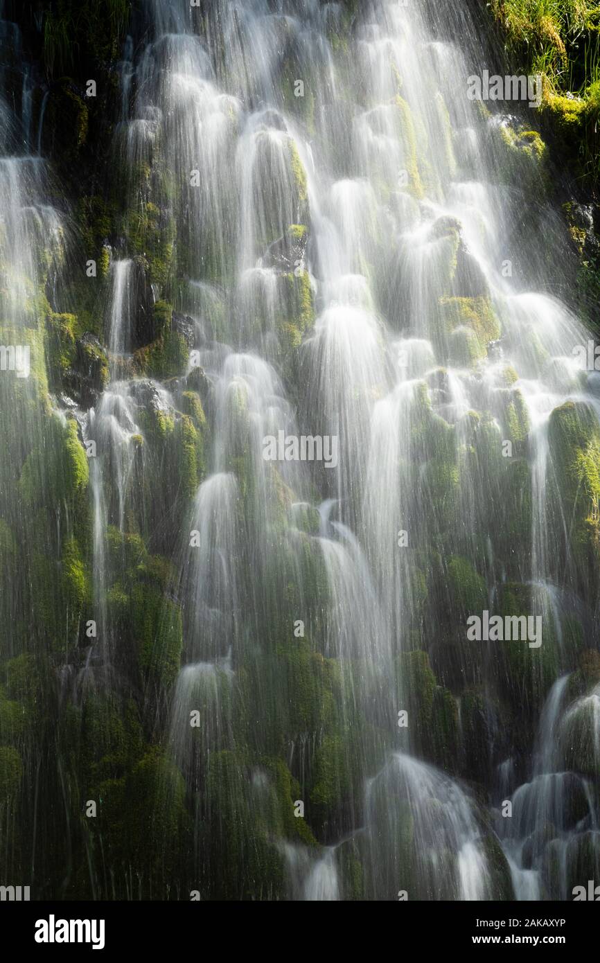 Vista di Panther Falls, Skamania County, Washington, Stati Uniti d'America Foto Stock