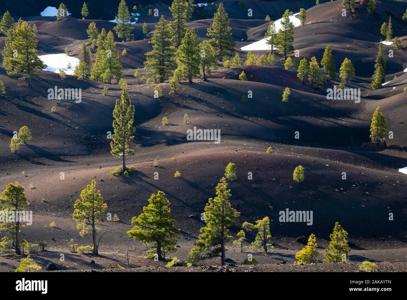 Vista di terreno collinare in inverno, Parco nazionale vulcanico di Lassen, CALIFORNIA, STATI UNITI D'AMERICA Foto Stock