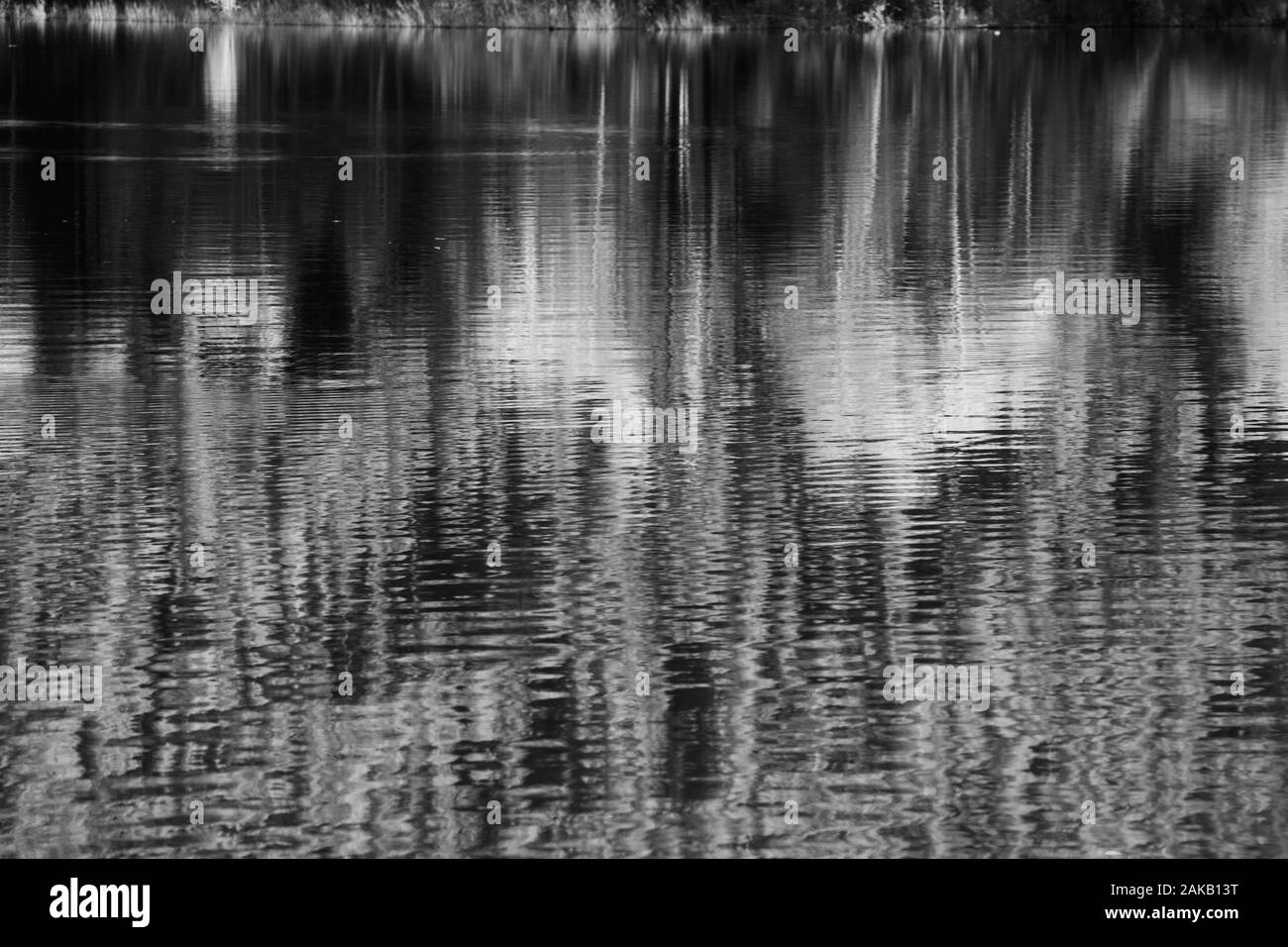 Gli alberi si riflette nel lago Foto Stock