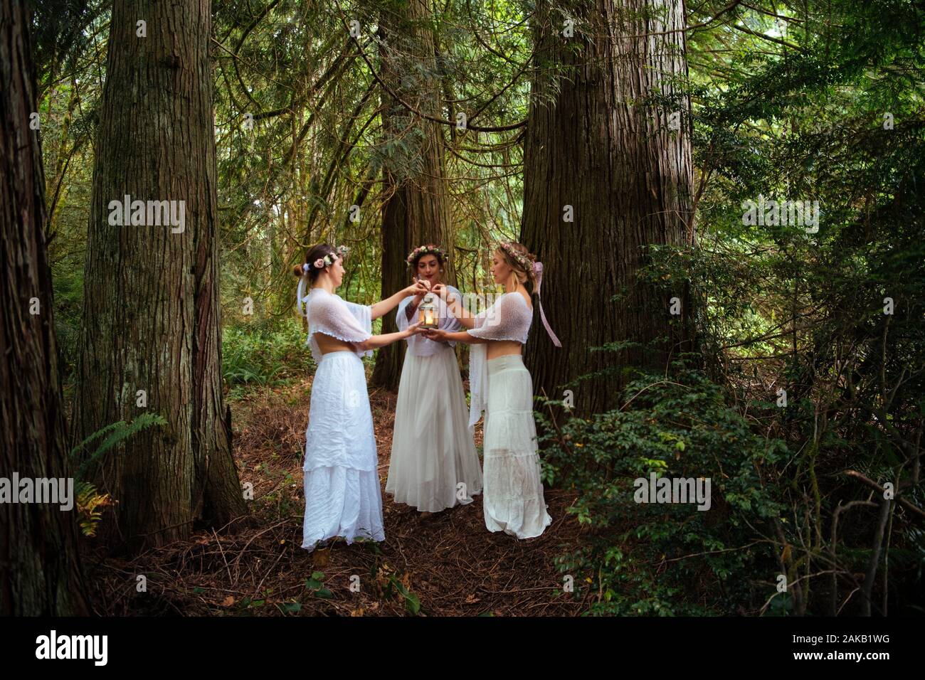 Tre ninfe donna nella foresta, Bainbridge Island, Washington, Stati Uniti d'America Foto Stock