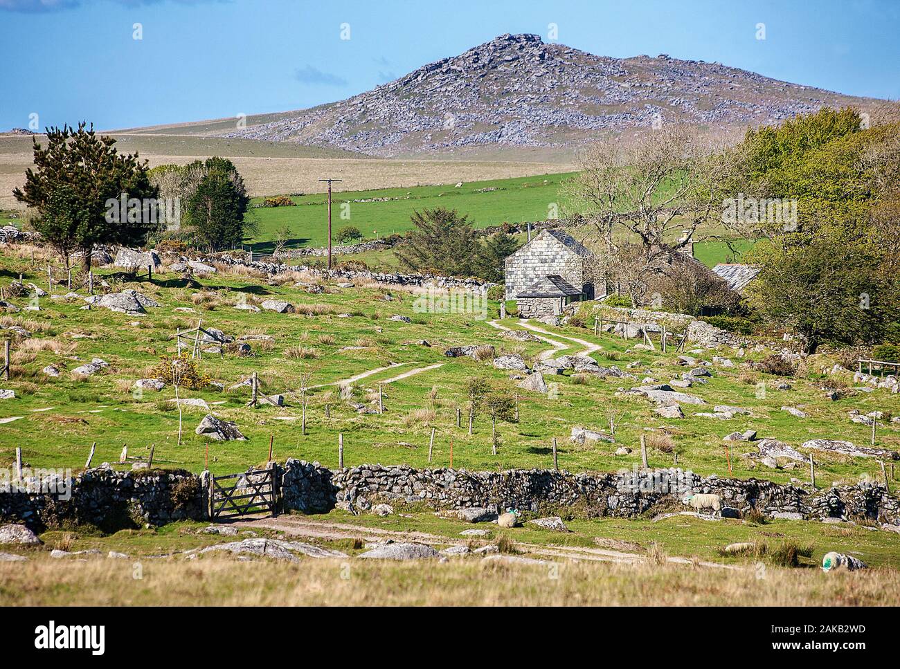 Il granito sparsi in campo, dalla casa colonica, Ruvida Tor, secco muro di pietra, cancello in legno,Bodmin Moor ,Cornwall, Foto Stock