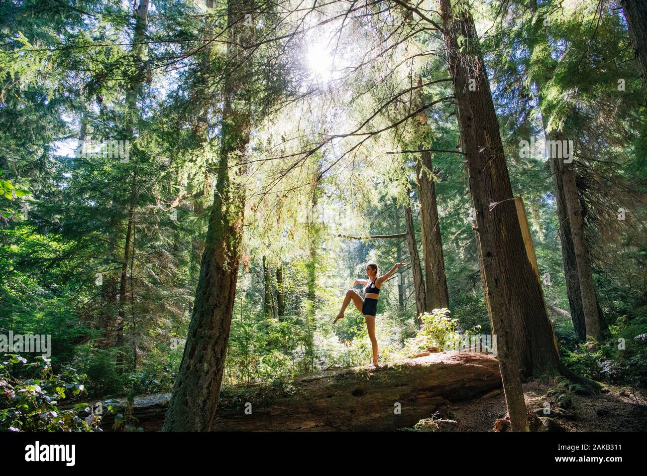 La donna a praticare lo yoga al di sotto di sequoia gigante, Tacoma, nello Stato di Washington, USA Foto Stock