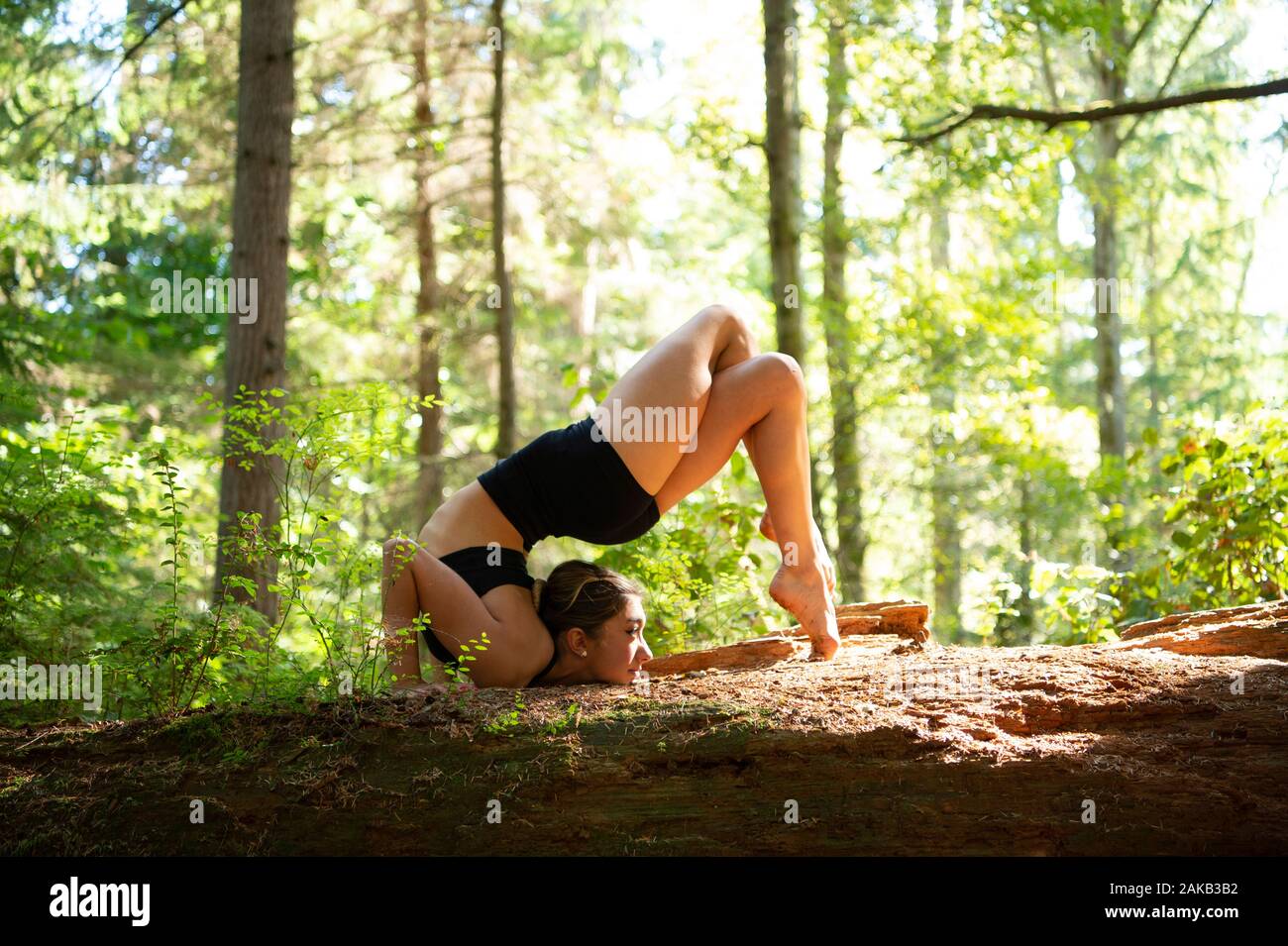 Donna fare yoga in foresta, Tacoma, nello Stato di Washington, USA Foto Stock