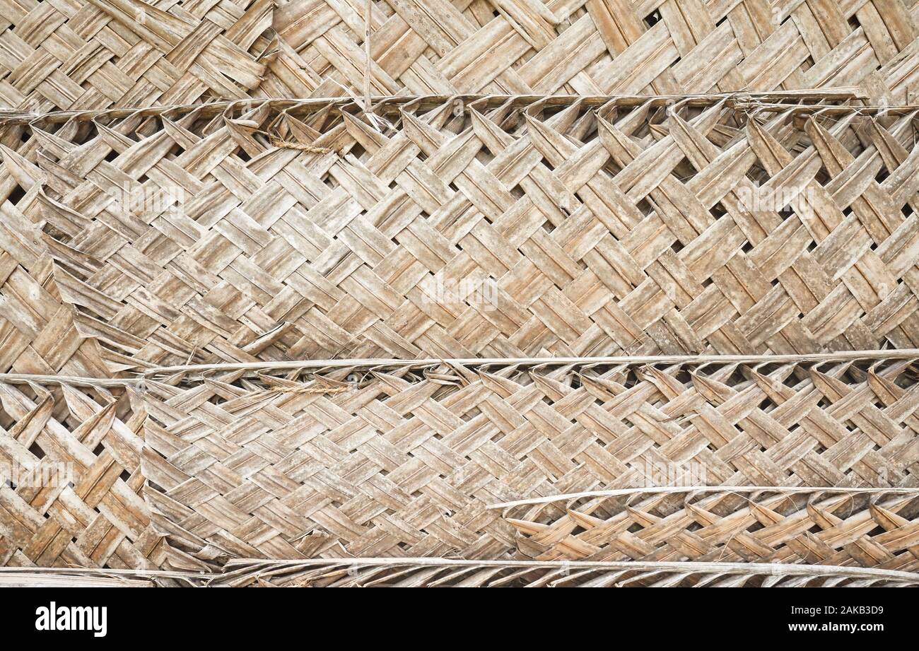 Foglia di palma, parete di fondo naturale o texture. Foto Stock