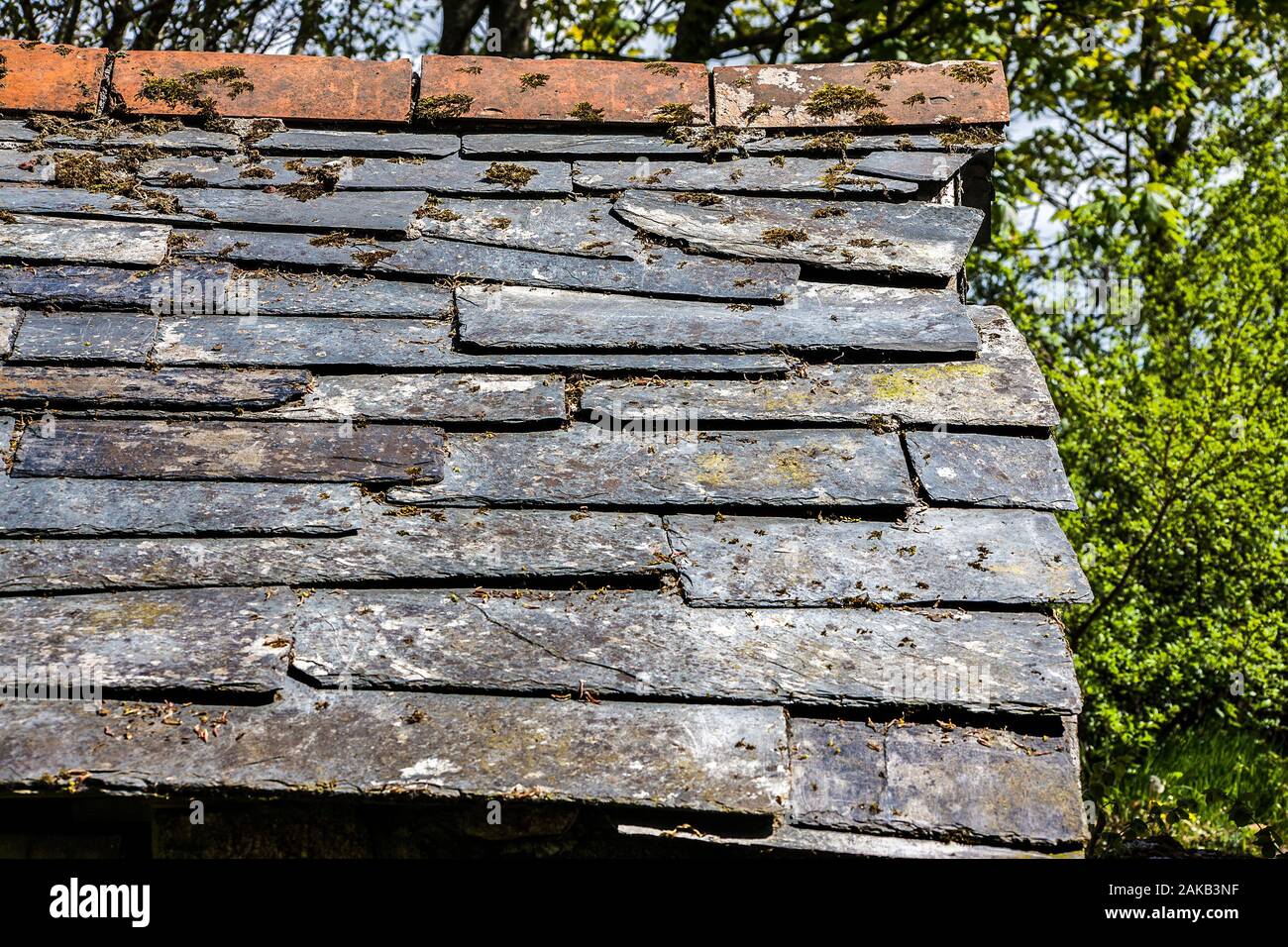 Delabole tetto di ardesia Foto Stock