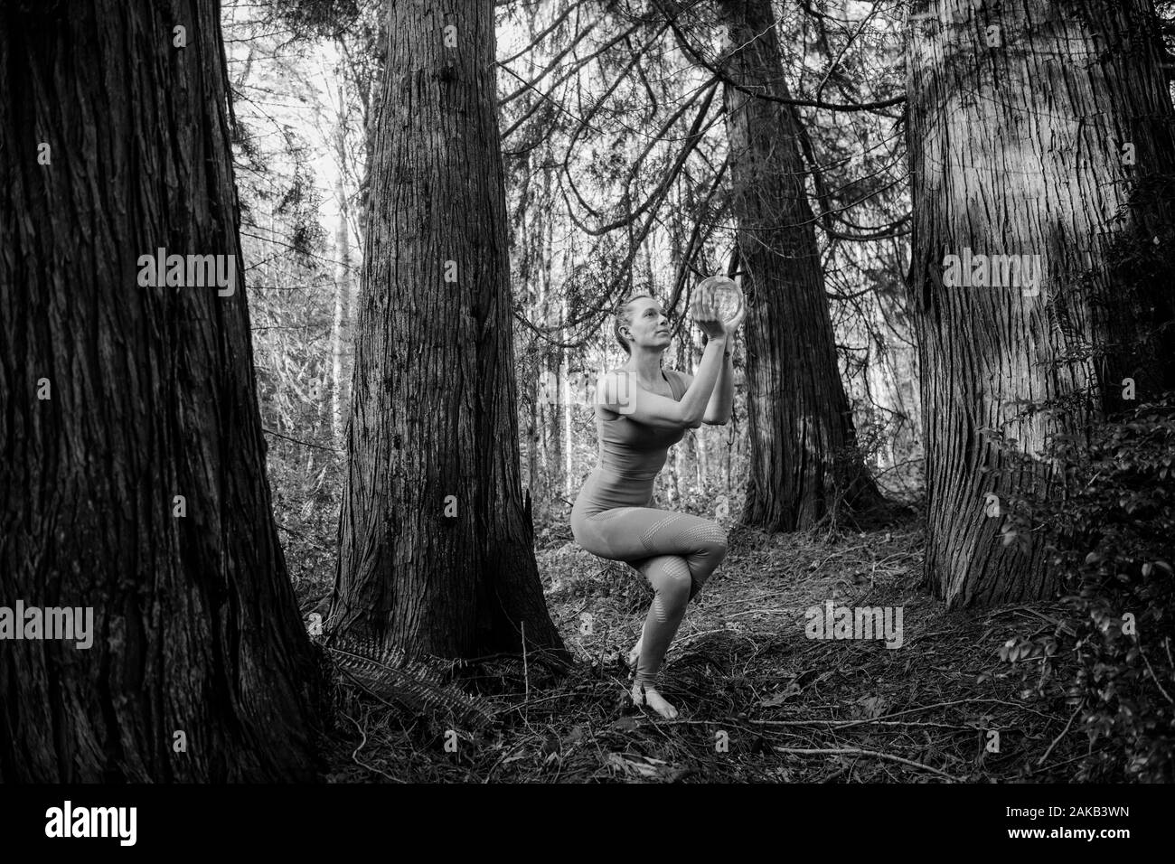 Vista della giovane donna in posa di yoga in foresta Foto Stock
