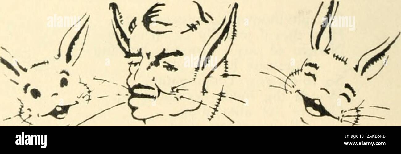 Rima o motivo . l sa la sua giovane non deve aver paura di sterminio;e Lei anticipa il giorno lei 11 essere un grande nonna.Con milioni di suoi parenti a giocare. Ogni ricerca come gli altri;e libera da interferenceBy odiato mans aspetto, abbastanza indisturbati Ella farà regnare tra le colline del suo dominio. Quando innocuo in un coniglio hutch nessuno oggetti per conigli.ma quelli più selvaggio e.llegato tali abitudini Ungentlemanly!prosperano sul foraggio per le pecore senza chiedo perdono ;essi snoop intorno mentre dormivano e gambol in giardino.per sempre il theyre tattiche revertingTo sconcertante. Come swarmi Foto Stock