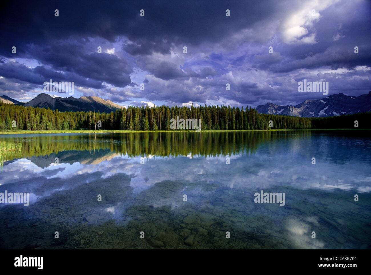 Paesaggio con Marl Lago e foresta sempreverde, Peter Lougheed Parco Provinciale, Alberta, Canada Foto Stock