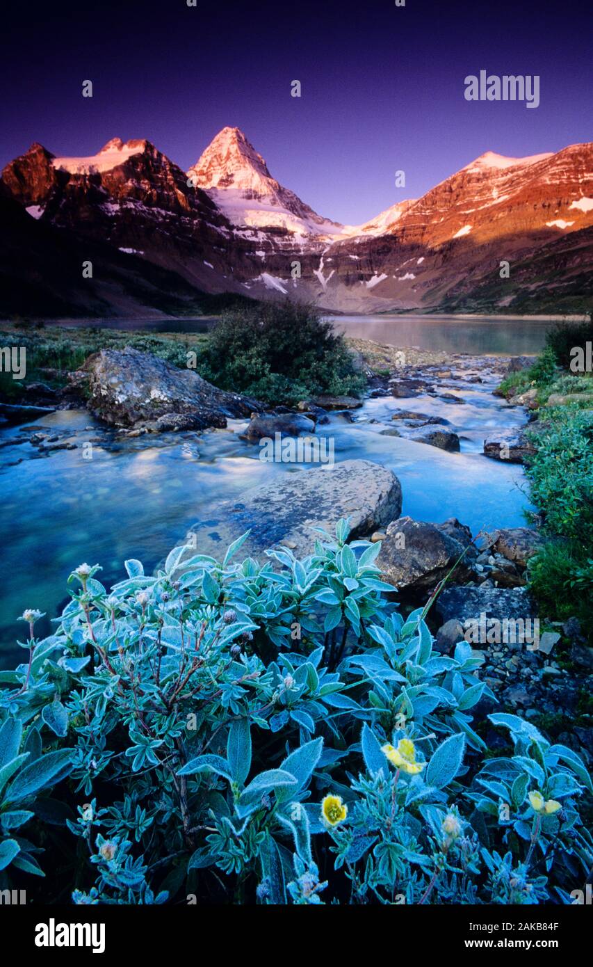 Paesaggio con ruscello e montagne, Mt. Assiniboine Parco Provinciale, British Columbia, Canada Foto Stock