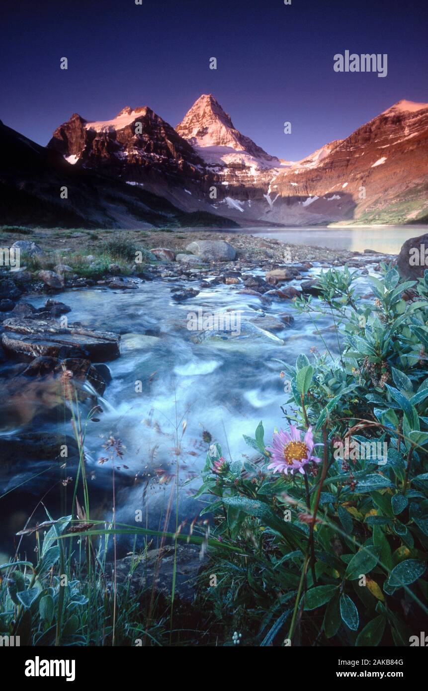 Paesaggio con ruscello e montagne, Mt. Assiniboine Parco Provinciale, British Columbia, Canada Foto Stock