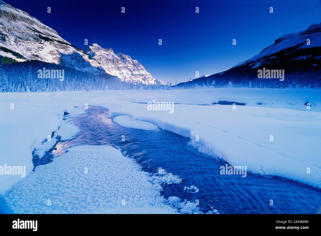 Lago ghiacciato coperto di neve in inverno, il Parco Nazionale di Banff, Alberta, Canada Foto Stock