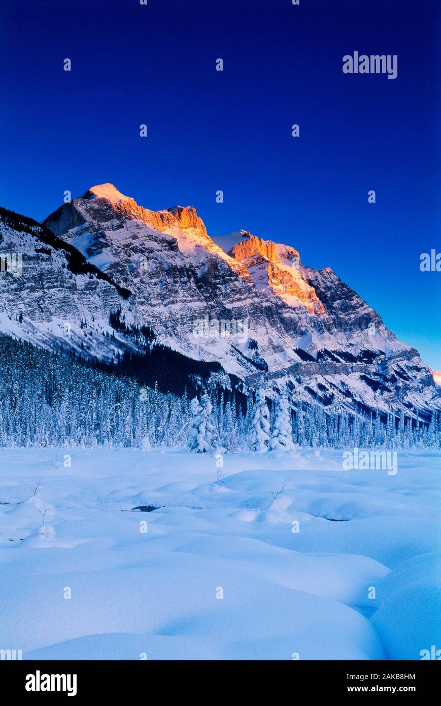Paesaggio invernale con la Canadian Rocky Mountains sotto il cielo chiaro, il Parco Nazionale di Banff, Alberta, Canada Foto Stock