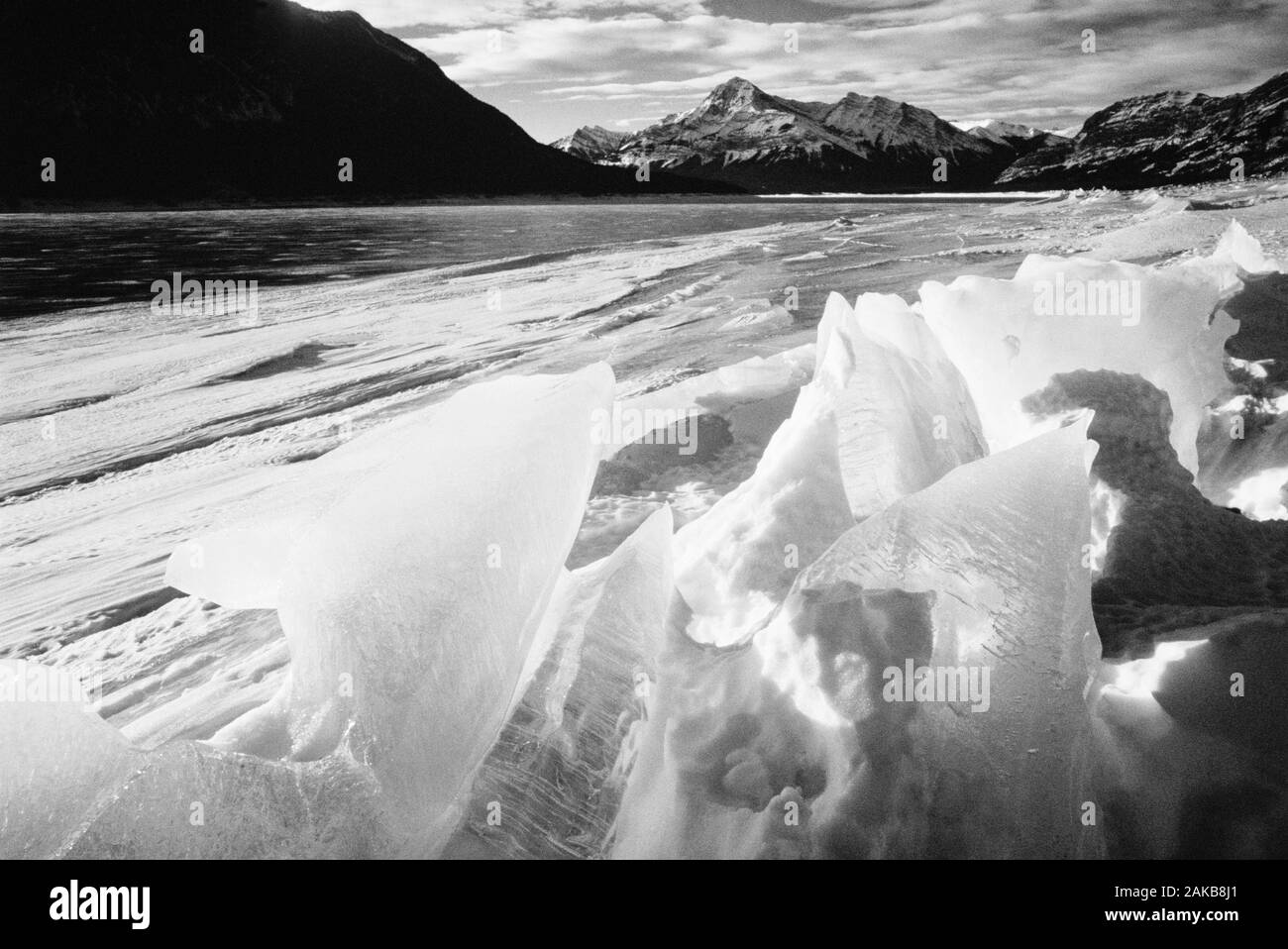 Bianco e nero paesaggio con ghiaccio congelato in Abramo lago e Canadian Rocky Mountains, Alberta, Canada Foto Stock