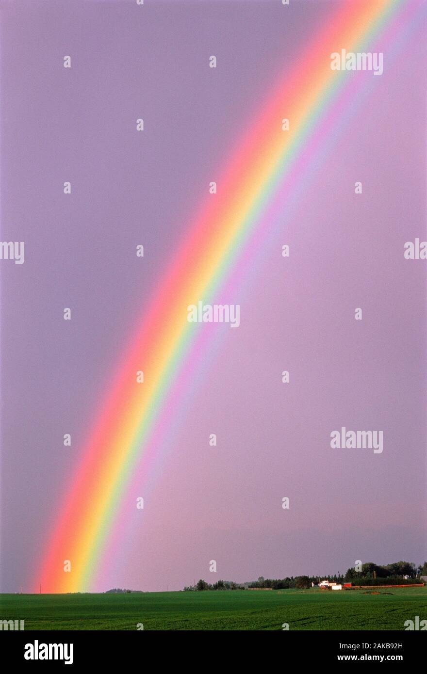 Rainbow oltre il settore agricolo e la fattoria di Alberta, Canada Foto Stock