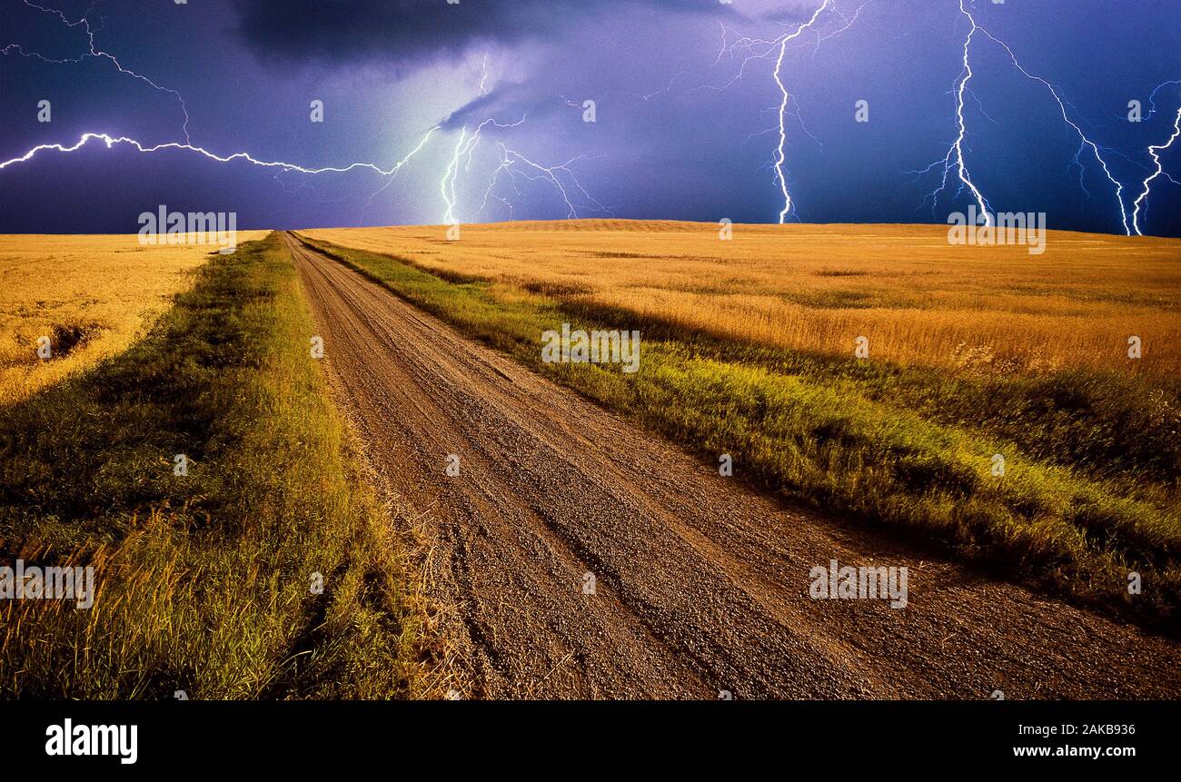 Paesaggio con tempesta con lampi al di sopra di strada sterrata e campi, miglio, Alberta, Canada Foto Stock