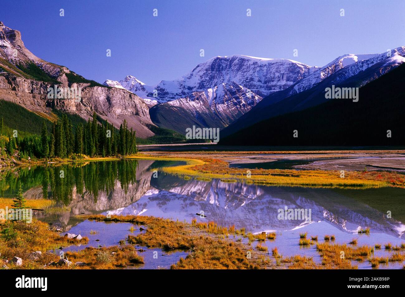 Paesaggio con Monte Kitchener riflettendo in Lake, il Parco Nazionale di Jasper, Alberta, Canada Foto Stock