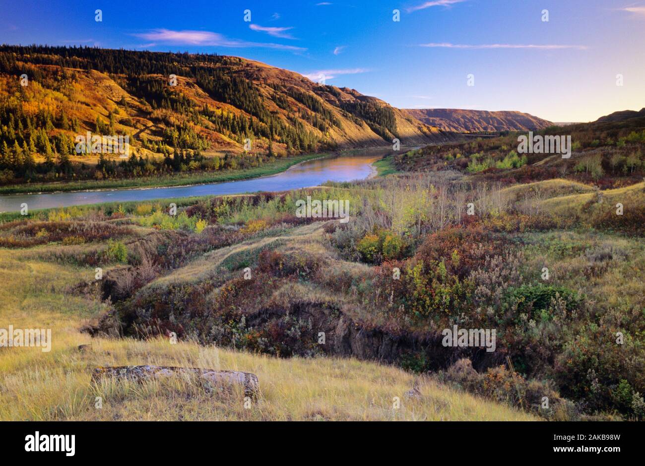 Panorama sulle colline e lungo il fiume, isola secca Buffalo Jump Parco Provinciale, Alberta, Canada Foto Stock