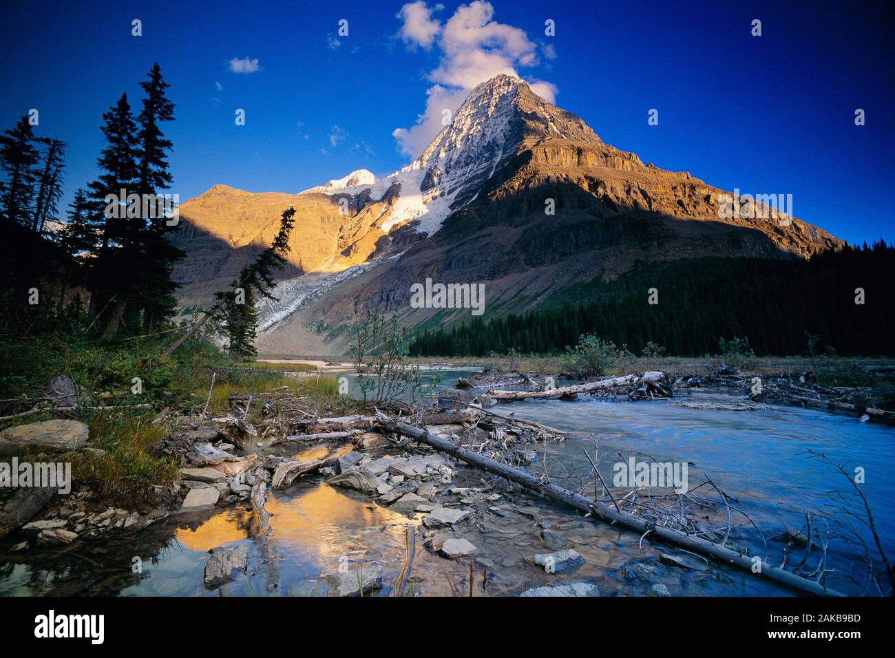 Paesaggio con picco di montagna, Monte Robson Provincial Park, British Columbia, Canada Foto Stock