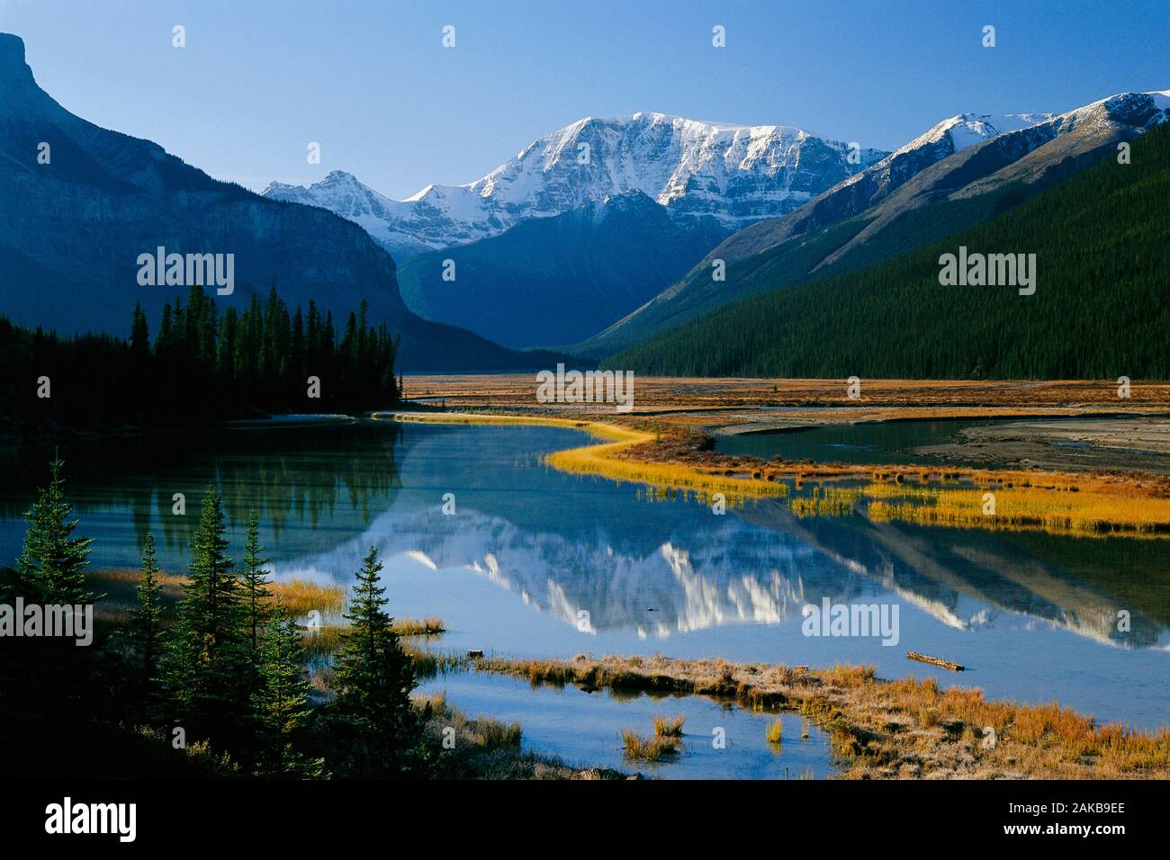 Monte Kitchener, Jasper National Park, Alberta, Canada Foto Stock