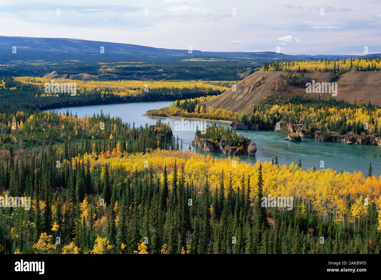 Five Fingers Rapids, Yukon Territory, Canada Foto Stock