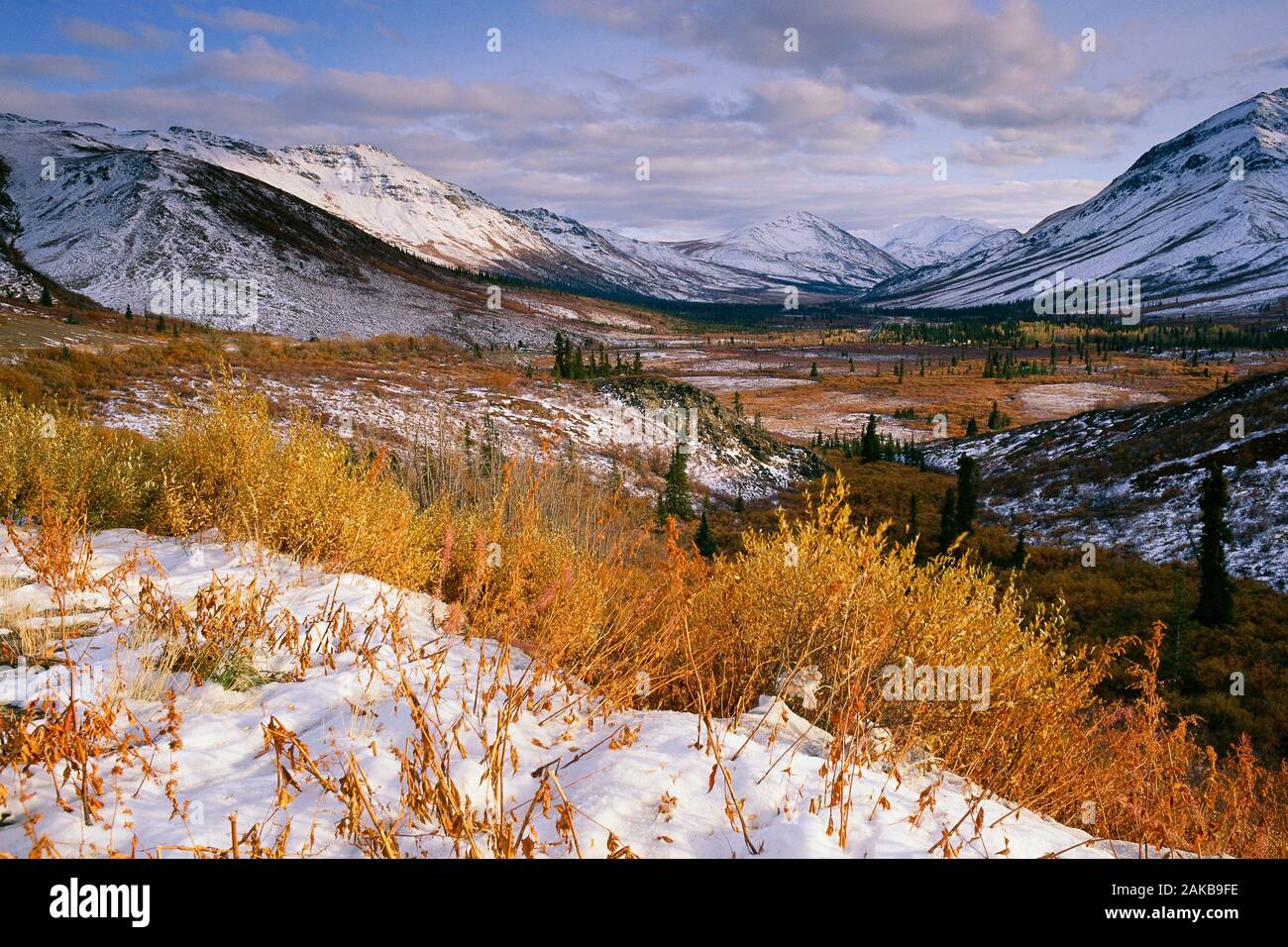 Tombstone Mountain Range, territorio di Yukon, Canada Foto Stock