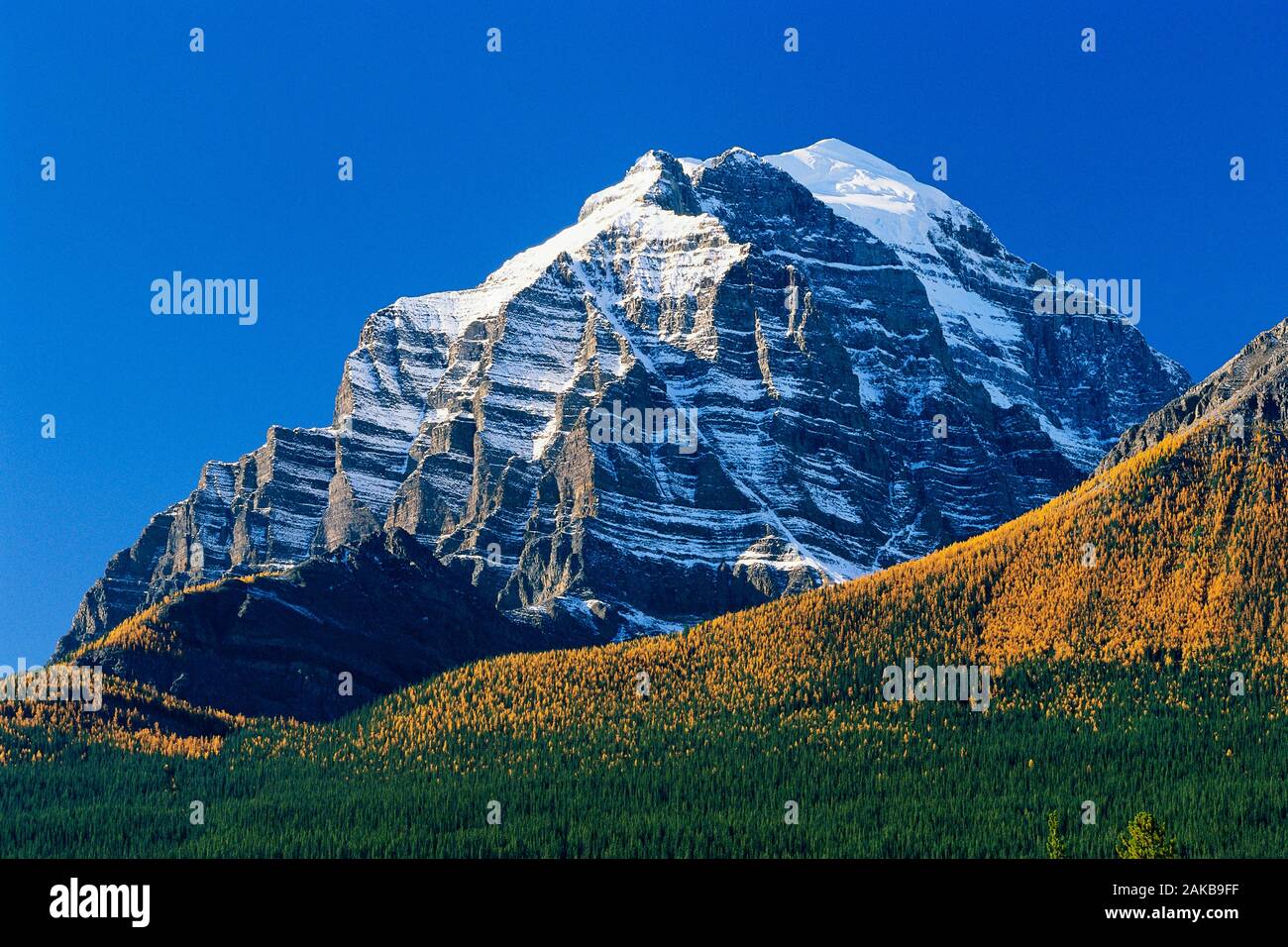 Paesaggio con Mount Temple picco nel Canadian Rockies, il Parco Nazionale di Banff, Alberta, Canada Foto Stock