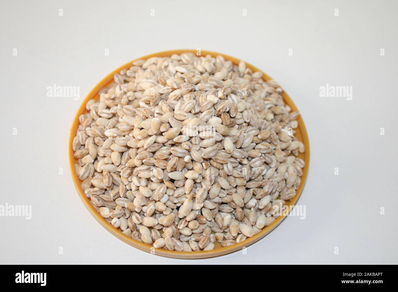Vista dettagliata del farro in vaso Foto Stock