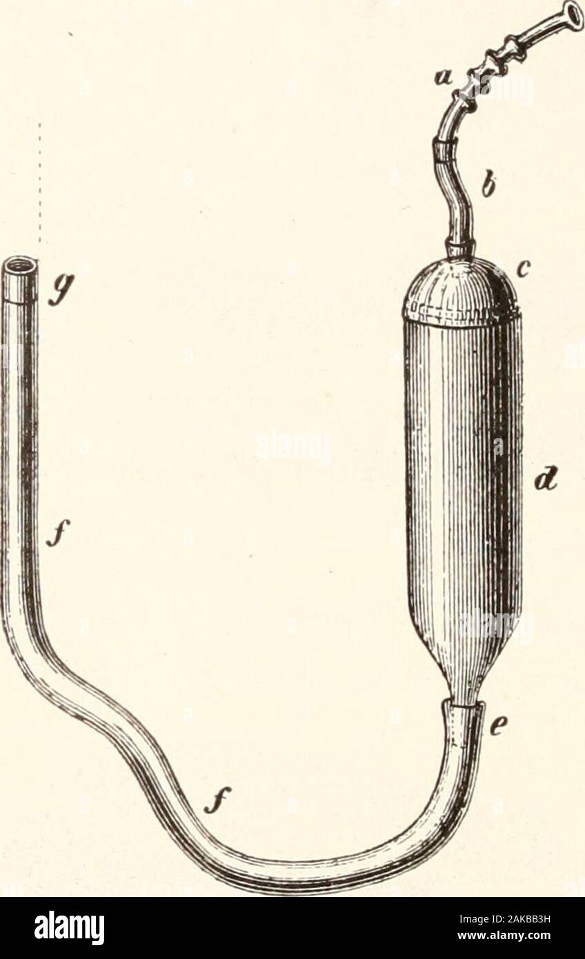 Indicazioni per la raccolta e la conservazione di insetti . , Ulteriore,il fumo di tabacco bruciato nei fori e fessurazioni nel legno mediante imbuto animprovised realizzata in un pezzo di carta sarà il mezzo di secur-ing molti rari esemplari. Il Harersn-ck.-In modo che il suddetto instrumentsand varie bottiglie, fiale, e scatole che sono necessari per la pres-ervation di esemplari rnay più convenientemente e con la minor impedi-mento al collettore di essere trasportato lungo su escursioni, una musetta è in dispensabile. Si tratta di fatti o di pelle o, ancora meglio, di panno somewaterproof, e dovrebbe cont Foto Stock