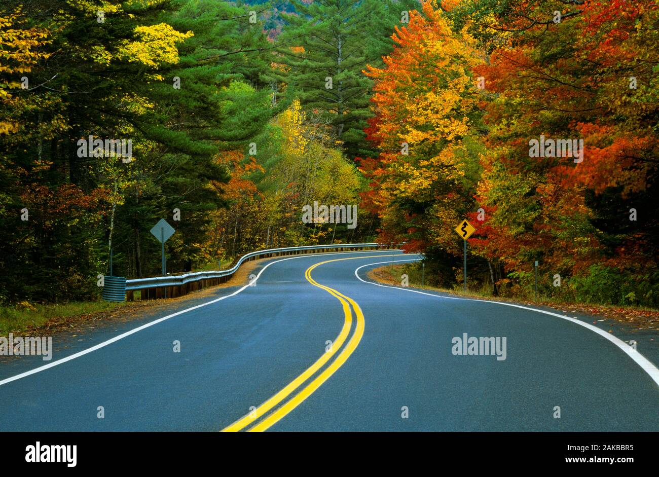 Paesaggio con strada nel bosco in autunno, New Hampshire, STATI UNITI D'AMERICA Foto Stock