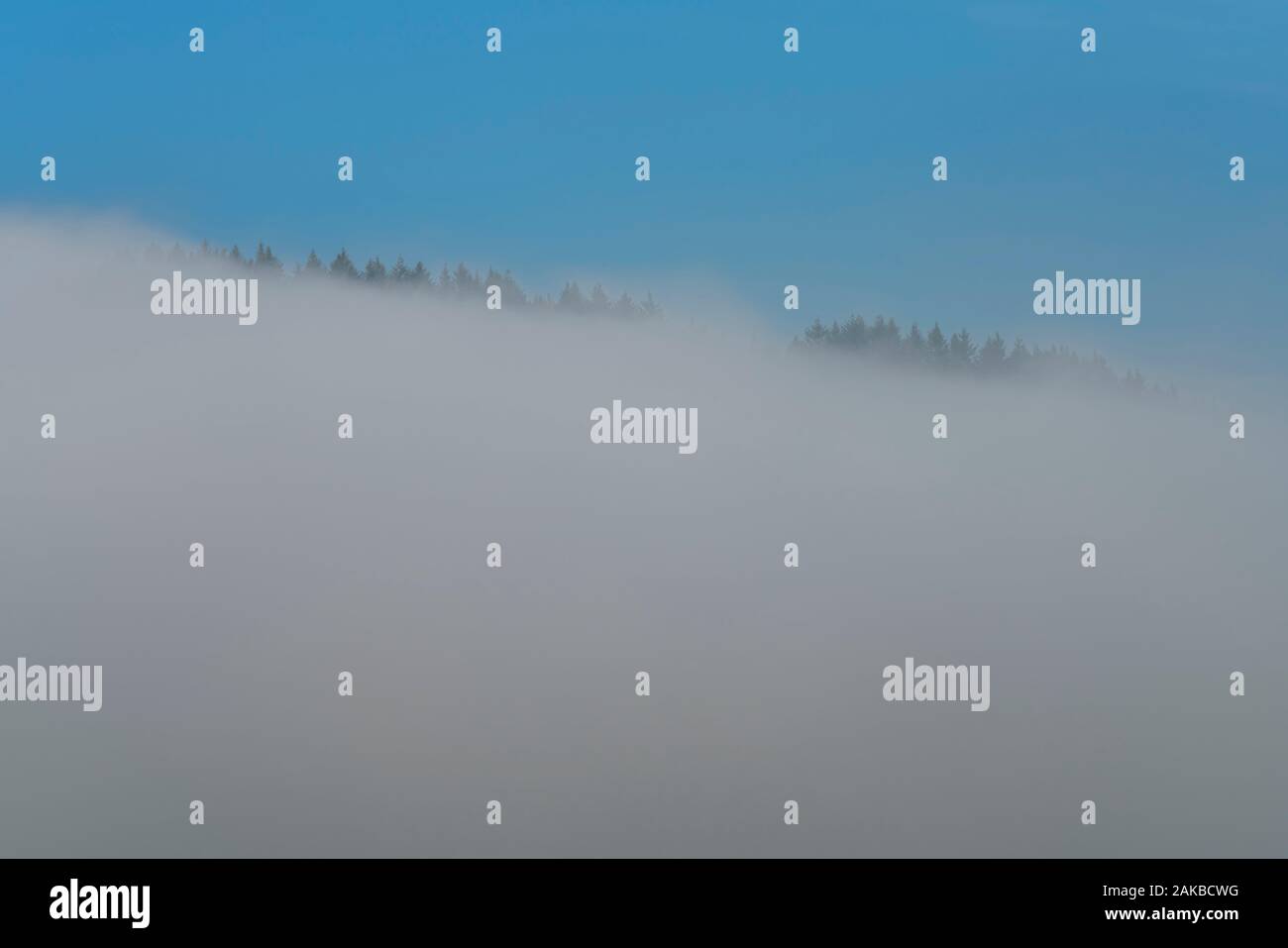 Paesaggio di nebbia, Oberweser, Wesertal, Weser Uplands, Weserbergland, Hesse, Germania Foto Stock