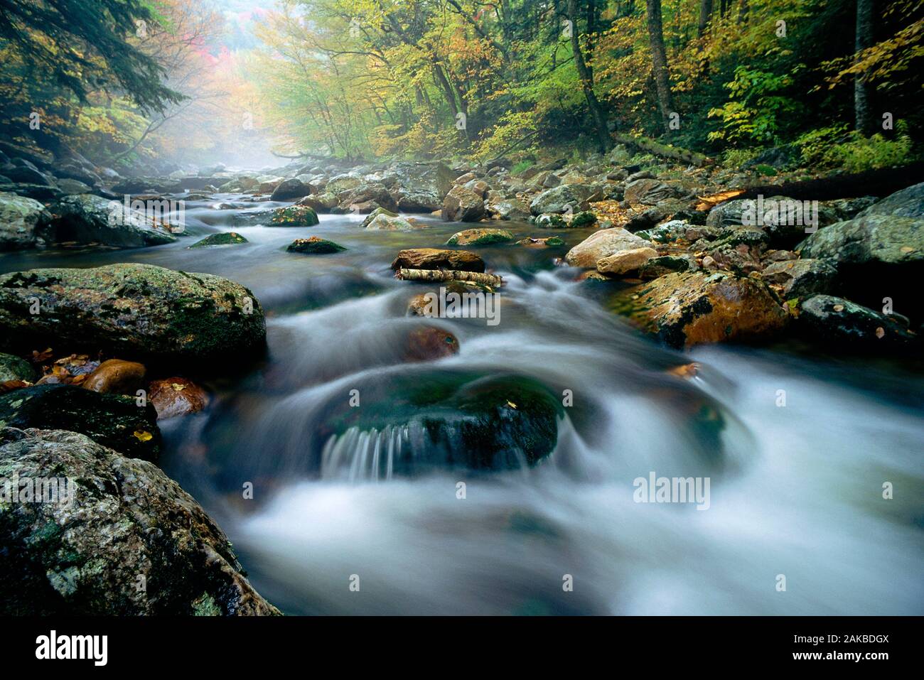 Paesaggio con rocce nel flusso in foresta, montagna verde foresta nazionale, Vermont, USA Foto Stock
